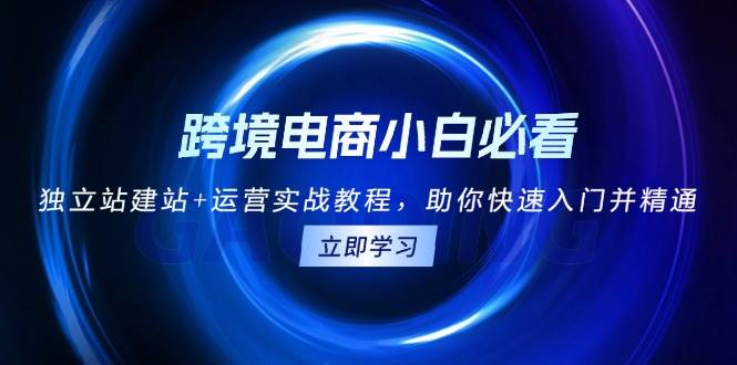 跨境电商小白必看！独立站建站+运营实战教程，助你快速入门并精通-免费资源网