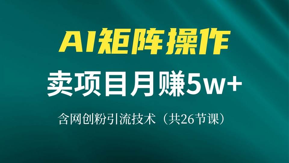 网创IP打造课，借助AI卖项目月赚5万+，含引流技术（共26节课）-免费资源网