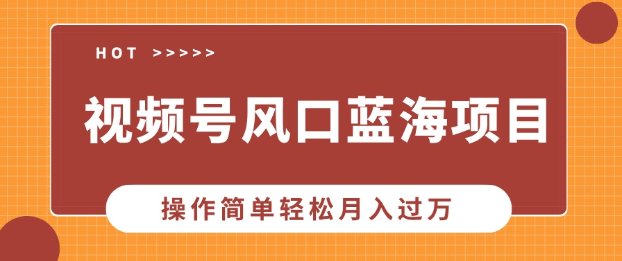 视频号风口_中老年人流量密码_操作月入过万-免费资源网