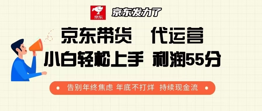 京东带货代运营_55分利润模式_年底持续现金流不停歇-免费资源网