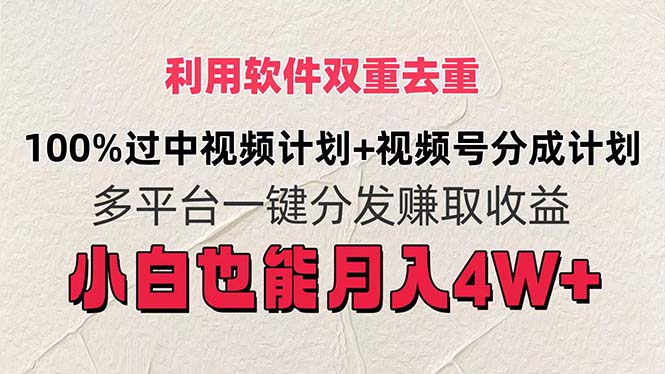 软件双重去重技巧：视频号分成计划_月入4W+-免费资源网