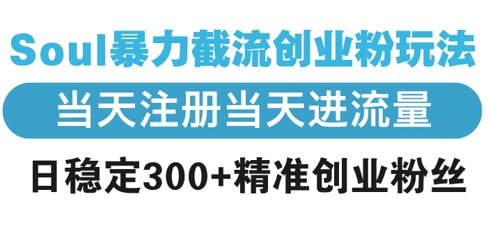 Soul暴力引流技巧_稳定吸粉300+精准创业人群-免费资源网