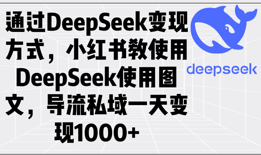 通过DeepSeek实现私域变现_小红书图文引流技巧助力一天收入突破1000+-免费资源网