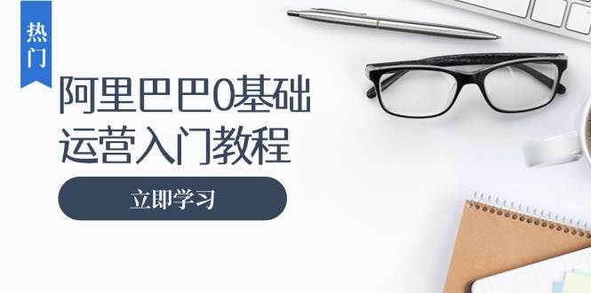 阿里巴巴运营零基础入门教程：涵盖开店、运营、推广，快速成为电商高手-免费资源网